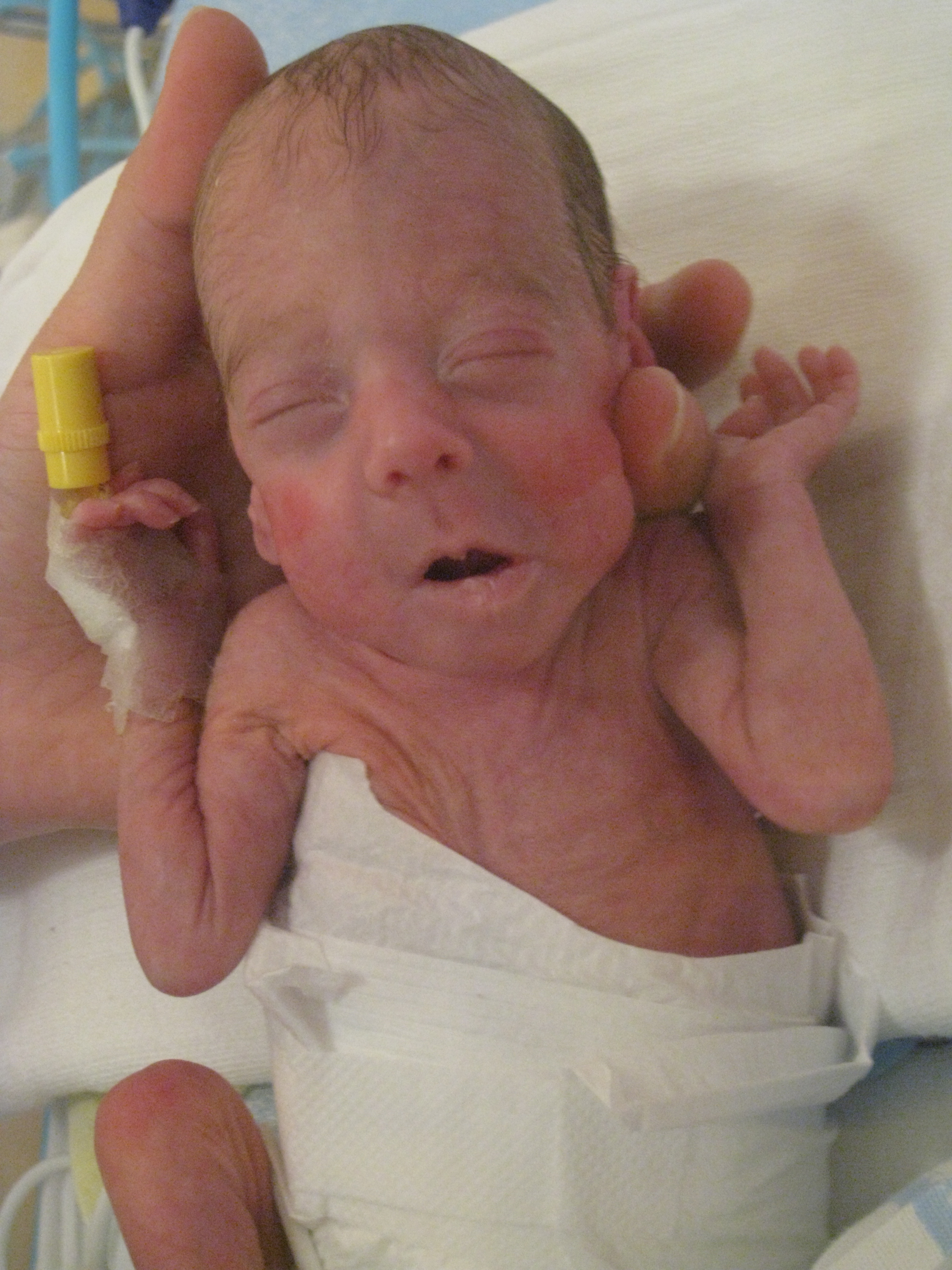 2008_01_05_Dvetišky deň 43 010.jpg