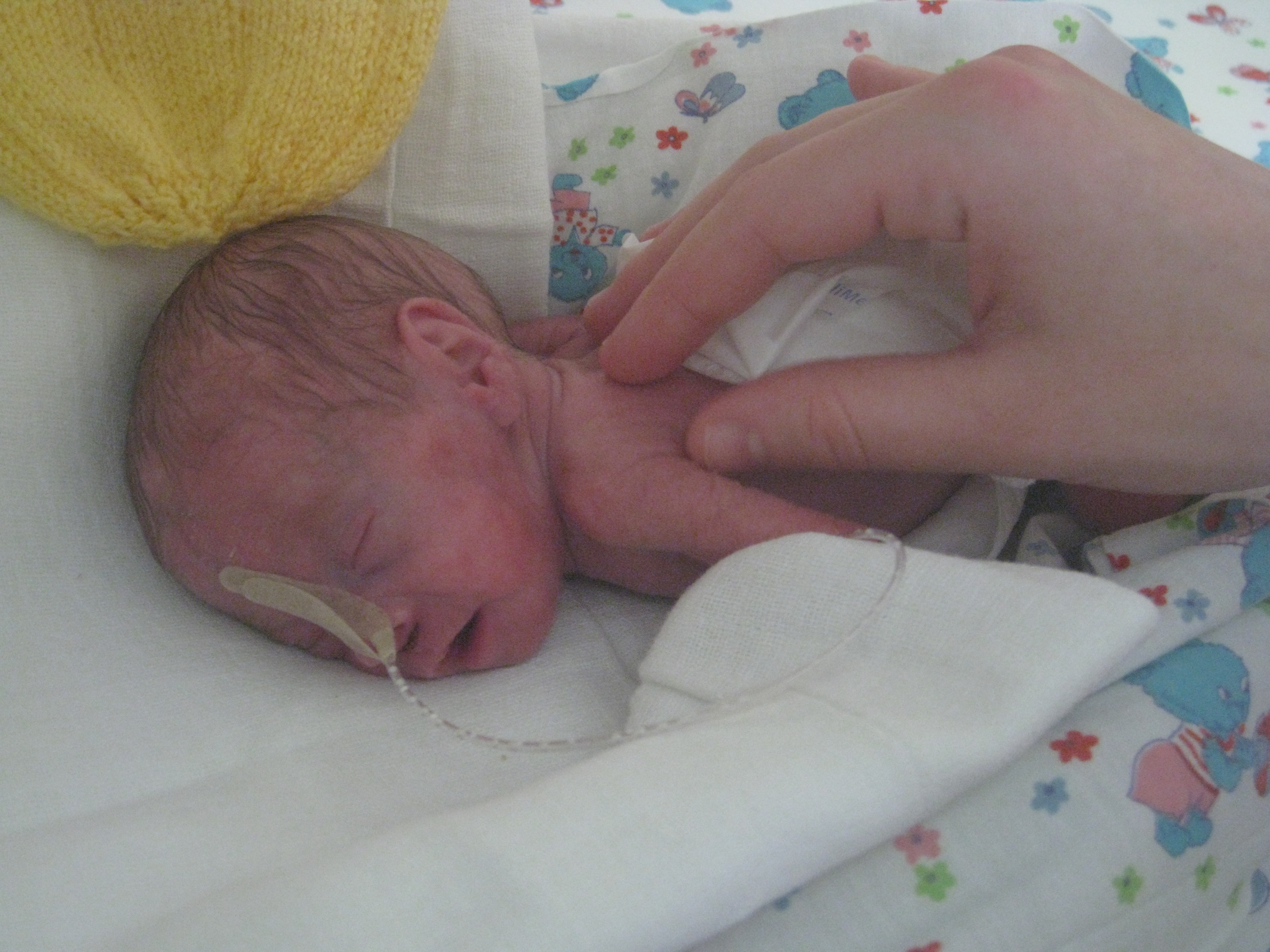 2008_01_12_Dvetišky deň 50 011.jpg