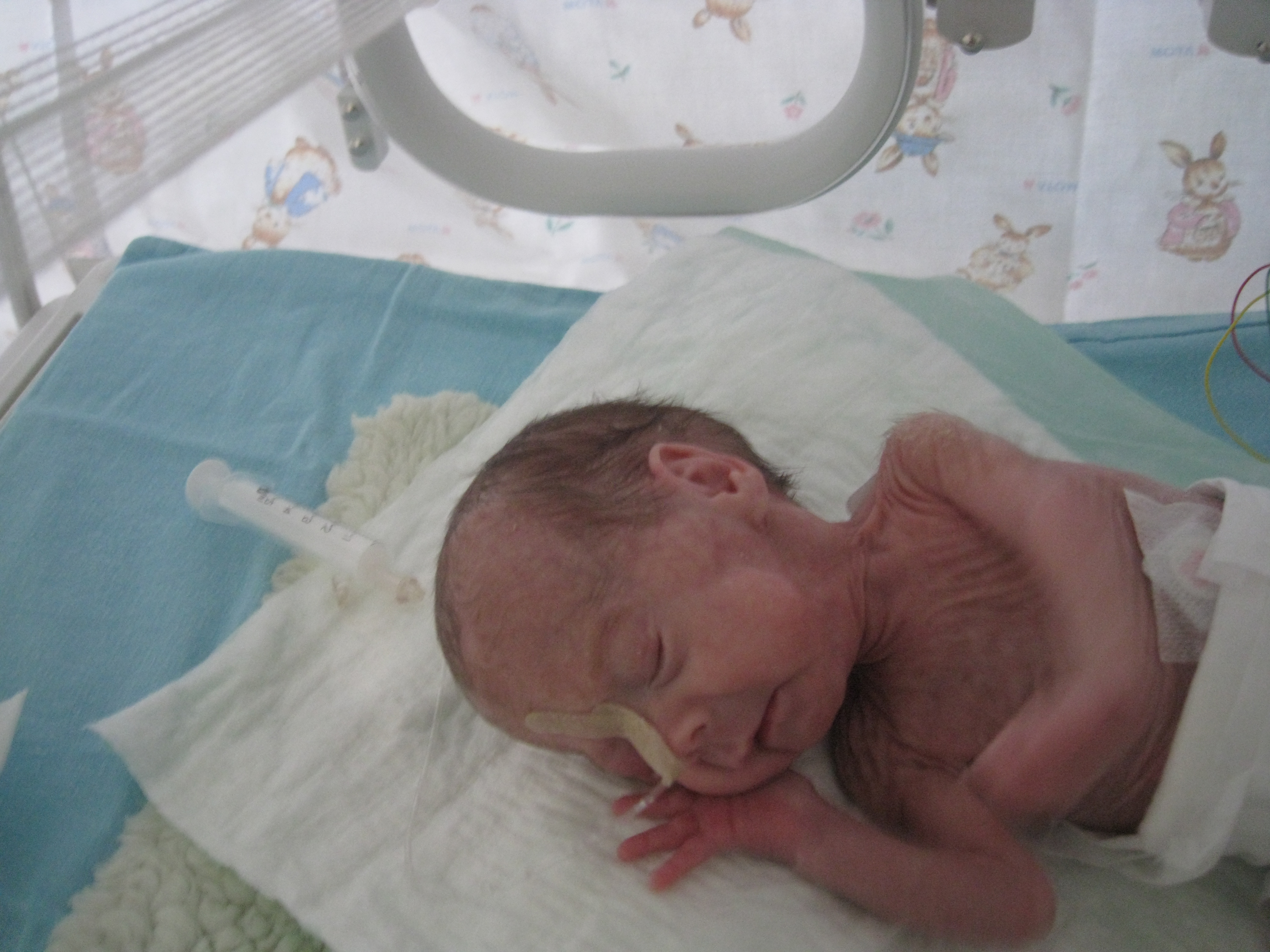 2008_01_16_Dvetišky deň 54 003.jpg