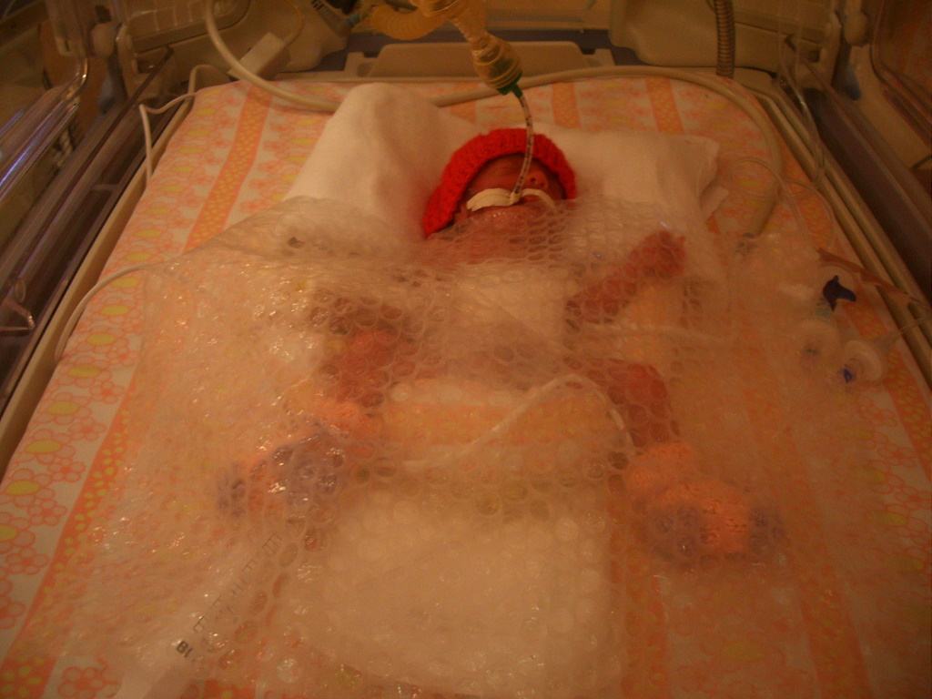 Alexander alias Pipi.JPG